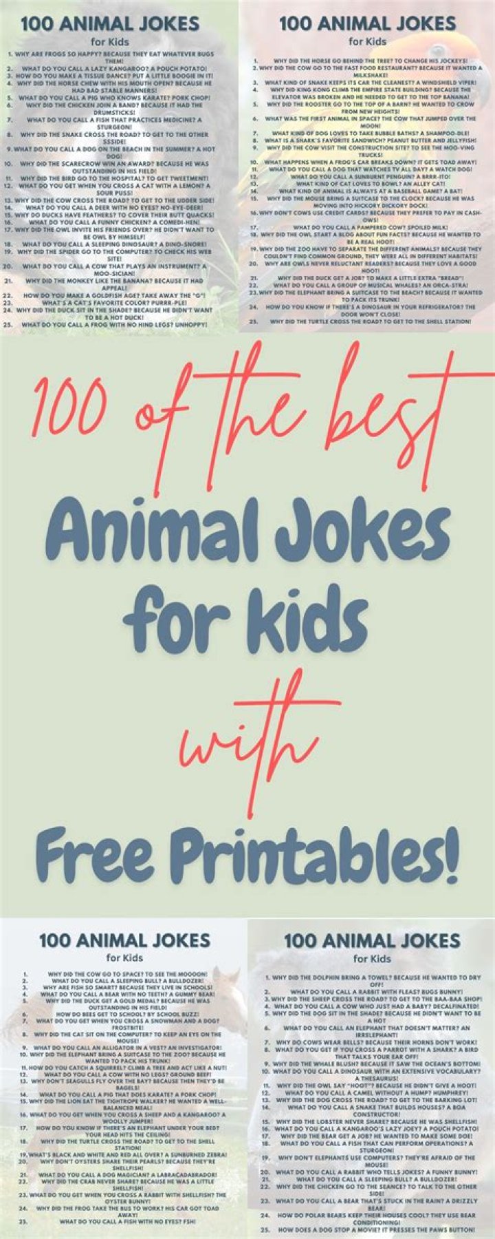 45 Funny Animal Jokes - Best Jokes About Animals