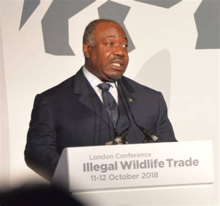 Ali Bongo Ondimba Height, Weight, Age, Wife, Children, Biography