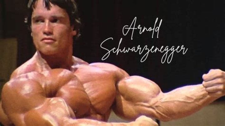 Arnold Schwarzenegger's Largest Career Payday Came From The Absolutely Last Movie You'd Ever Guess