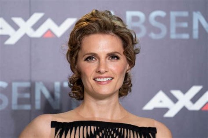 Stana Katic Net Worth | Celebrity Net Worth